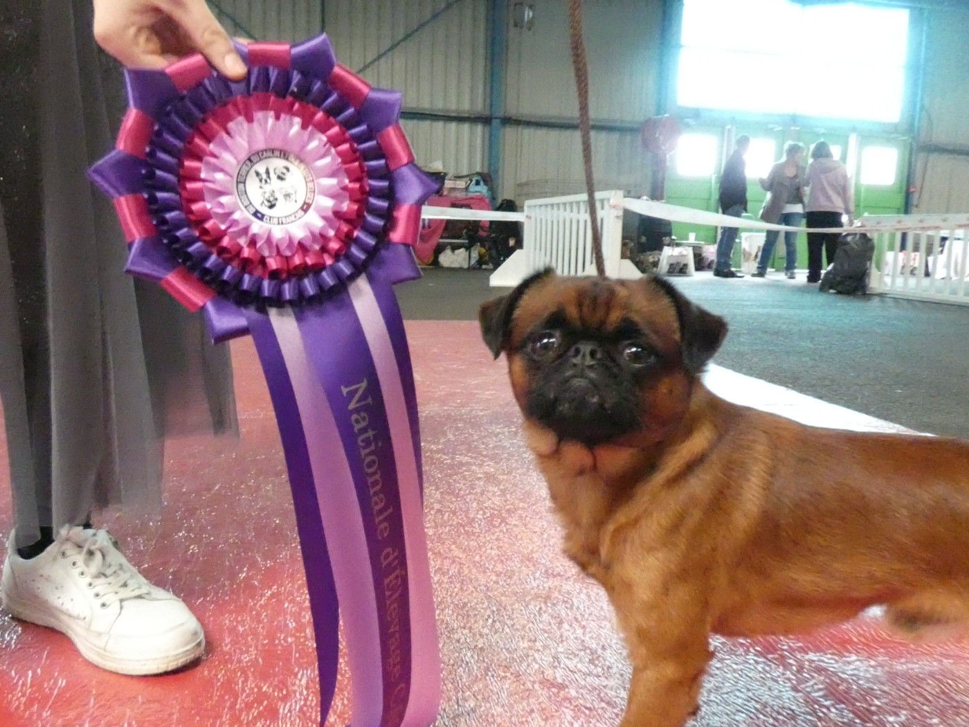 CH. Let it be de mar & mar